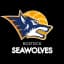 Rostock Seawolves